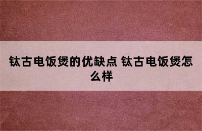 钛古电饭煲的优缺点 钛古电饭煲怎么样